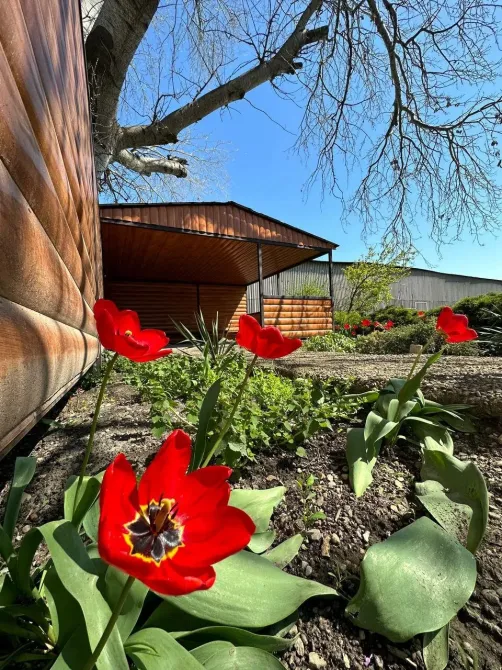 Пансионат Вершина Краснодар - изображение 8