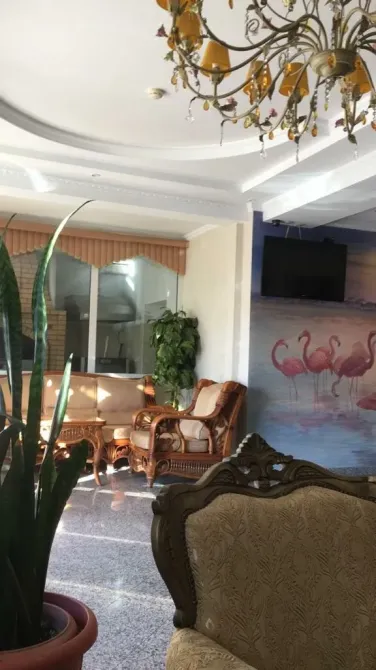 Ласточка Краснодар - изображение 19