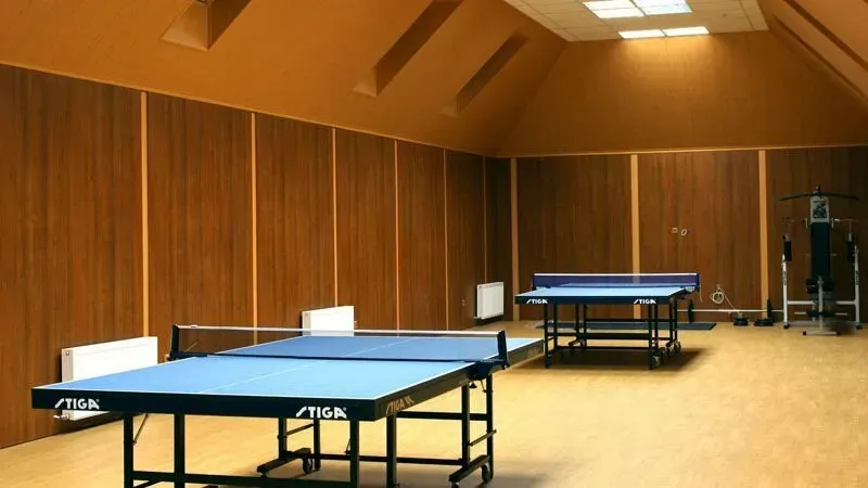 Ласточка Краснодар - изображение 12