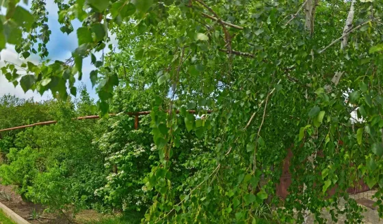 Доверие Краснодар