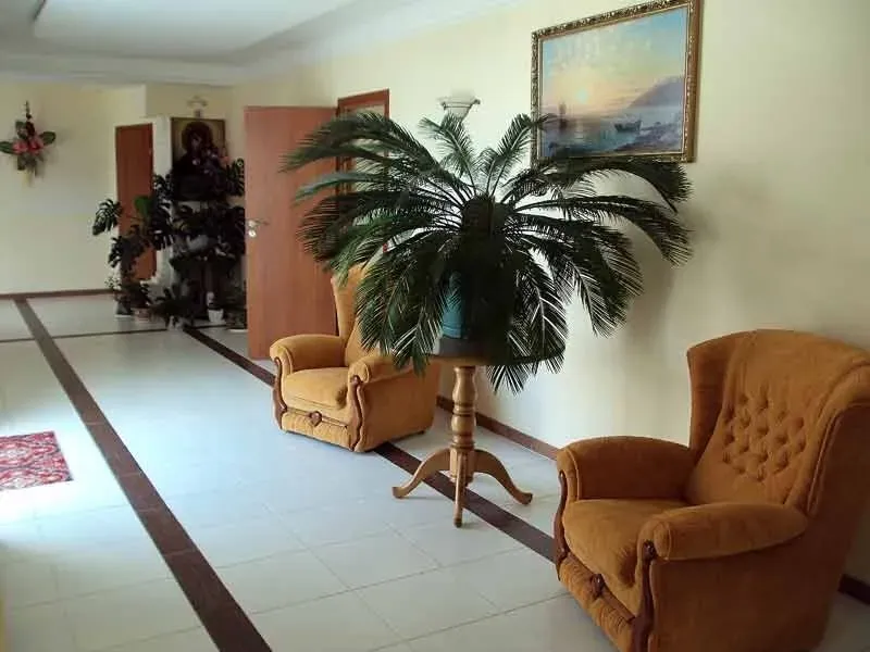 Забота Севастополь - изображение 6