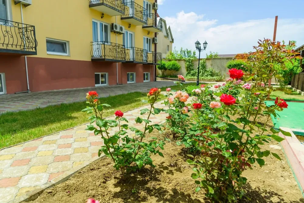 Пансионат для пожилых Топ Судак - изображение 5