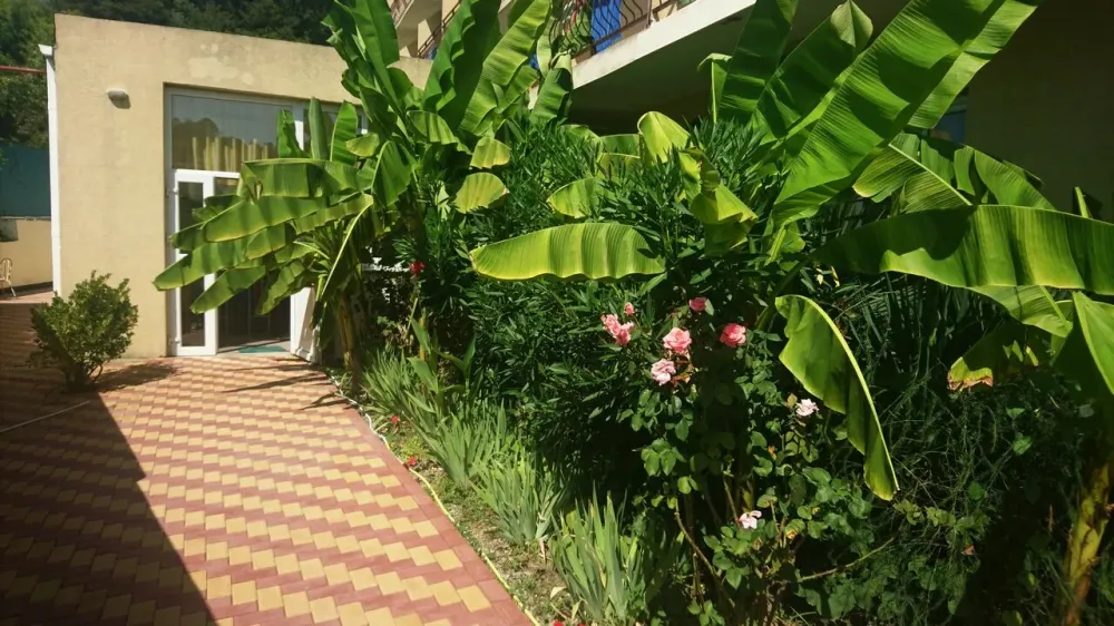 Дом престарелых Vita di Mare Сочи - изображение 10