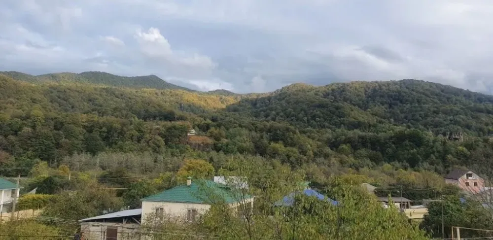 Дом престарелых Vita Сочи - изображение 2