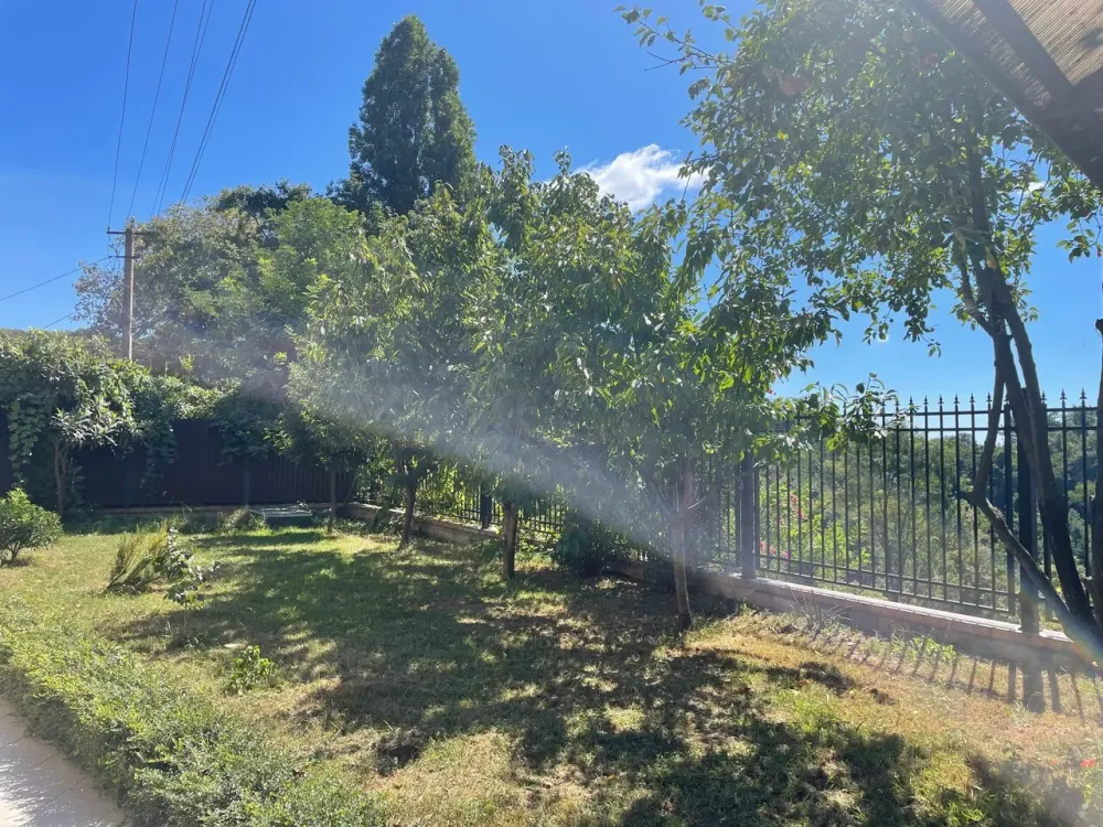 Долголетие плюс Сочи - изображение 7