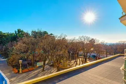 Забота Геленджик - изображение 9