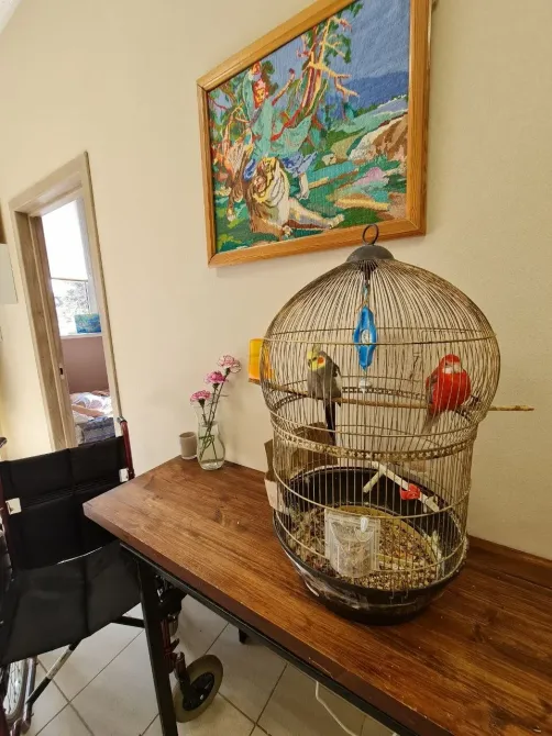 Пансионат для пожилых Уют Сочи - изображение 6