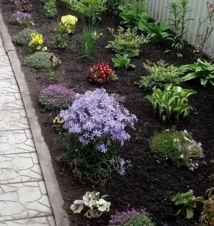 Дом престарелых и инвалидов, справочная Севастополь