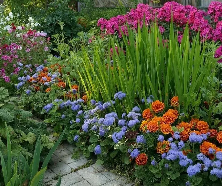 Дом престарелых и инвалидов, справочная Севастополь - изображение 2