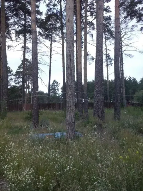 Радуга Екатеринбург - изображение 10