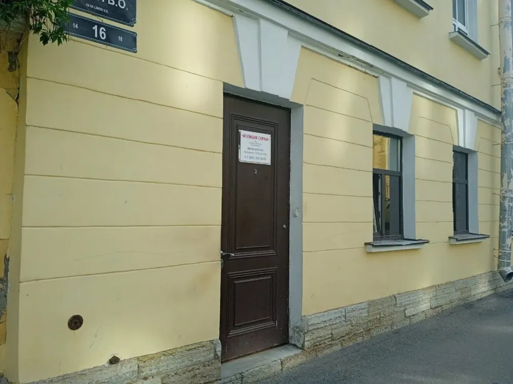 Большая семья Санкт-Петербург - изображение 12