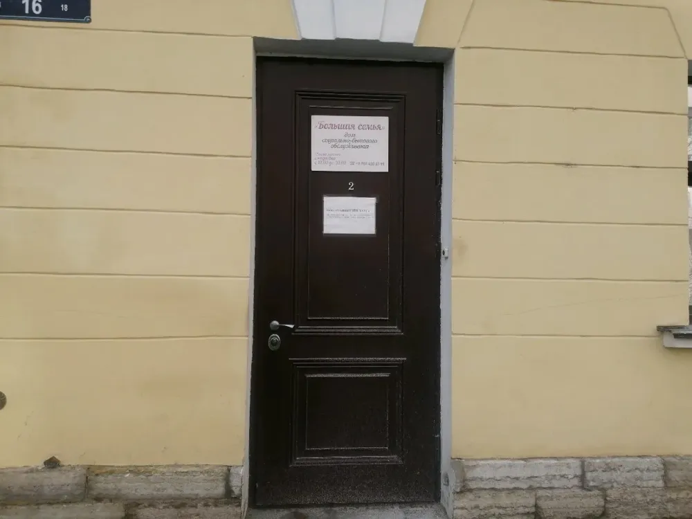 Большая семья Санкт-Петербург - изображение 3