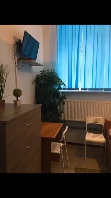 Большая семья Санкт-Петербург - изображение 17