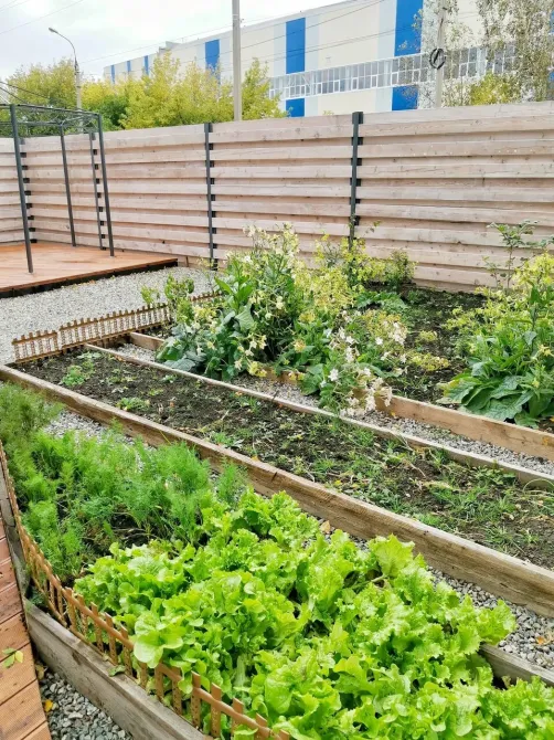 Мирра Иркутск - изображение 15