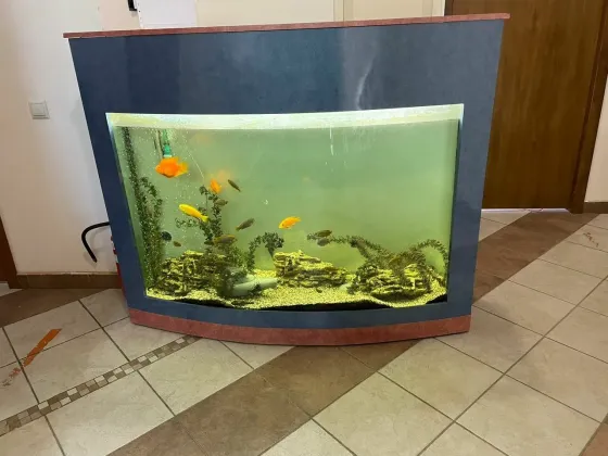 Зеленая Роща Самара