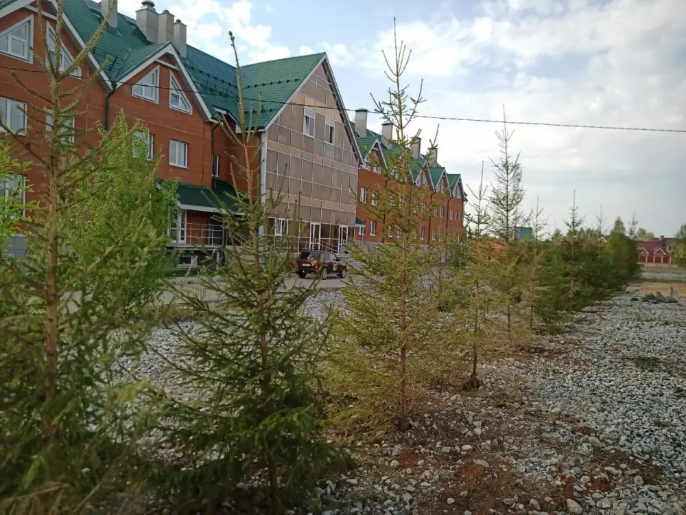 Изумруд Plaza Пермь - изображение 20