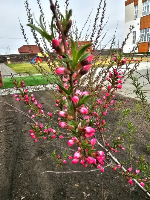 Успенский Екатеринбург - изображение 10