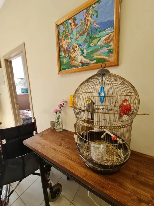 Сочинские Бабушки Сочи - изображение 8