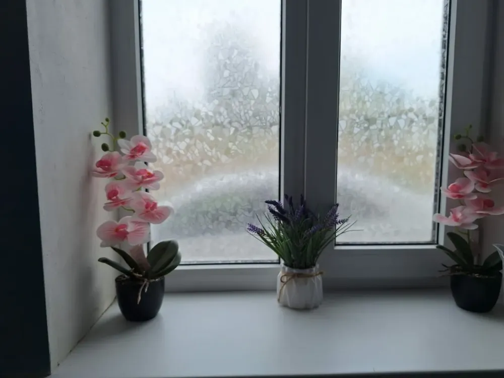 Надежда Ростов-на-Дону - изображение 5