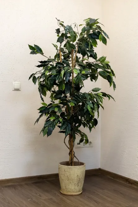 Территория добра Новосибирск - изображение 13